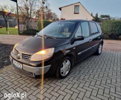 Renault Scenic Odpala na plaka